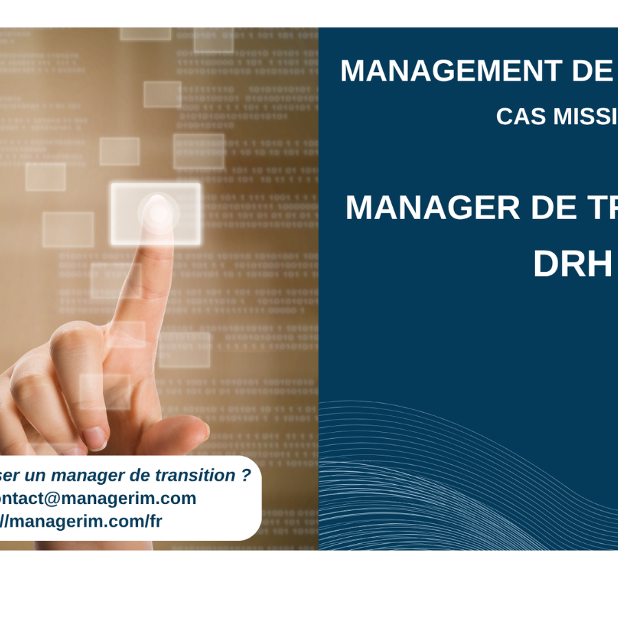 Manager de Transition DRH Services Numériques MANAGERIM