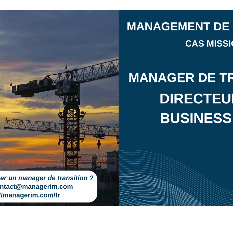 Manager de Transition Directeur de Business Unit BTP infrastructures MANAGERIM