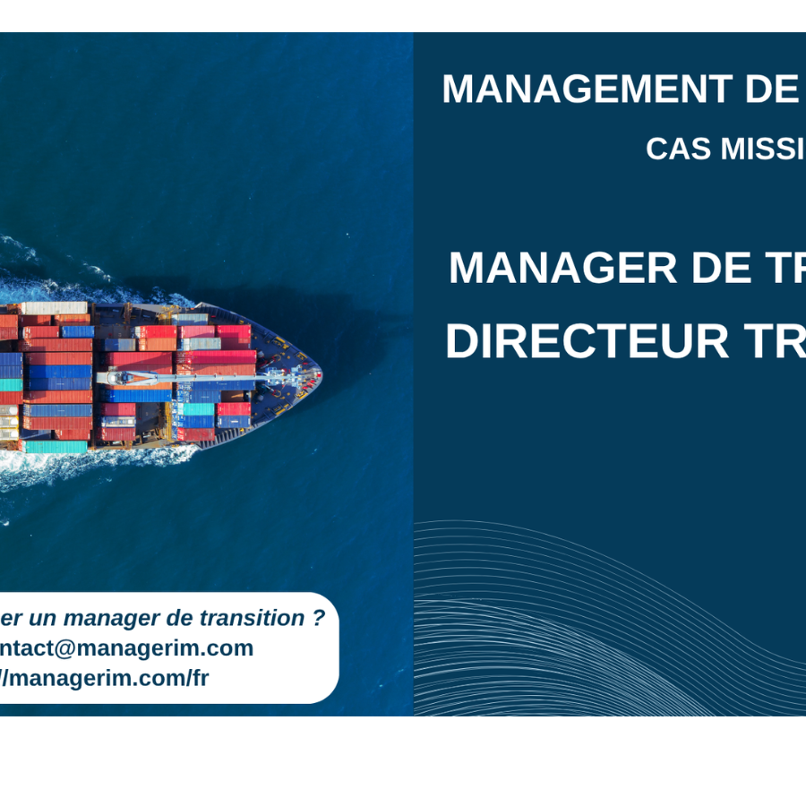 Manager de Transition Directeur Transport Secteur Logistique MANAGERIM