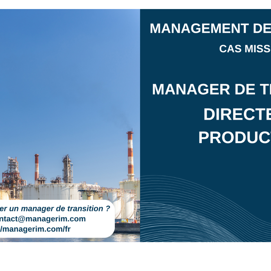 Manager de Transition Directeur Production Industrie Chimique Chimie MANAGERIM