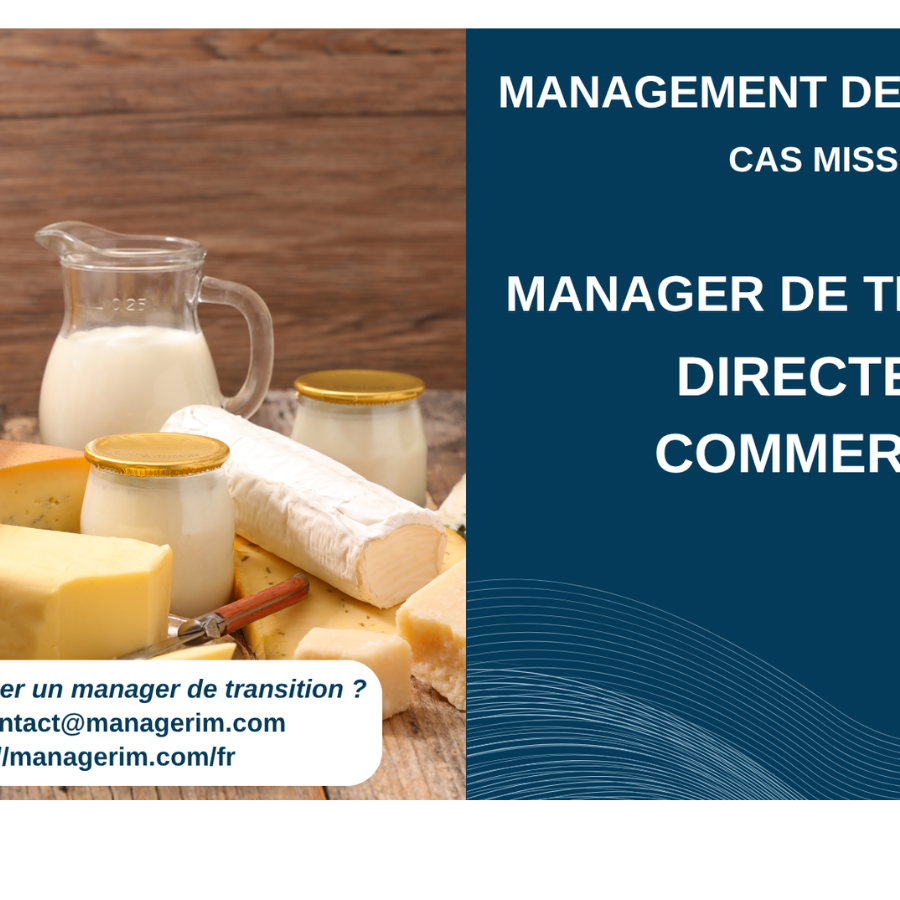 Manager de Transition Directeur Commercial Industrie Agroalimentaire Produits Laitiers MANAGERIM