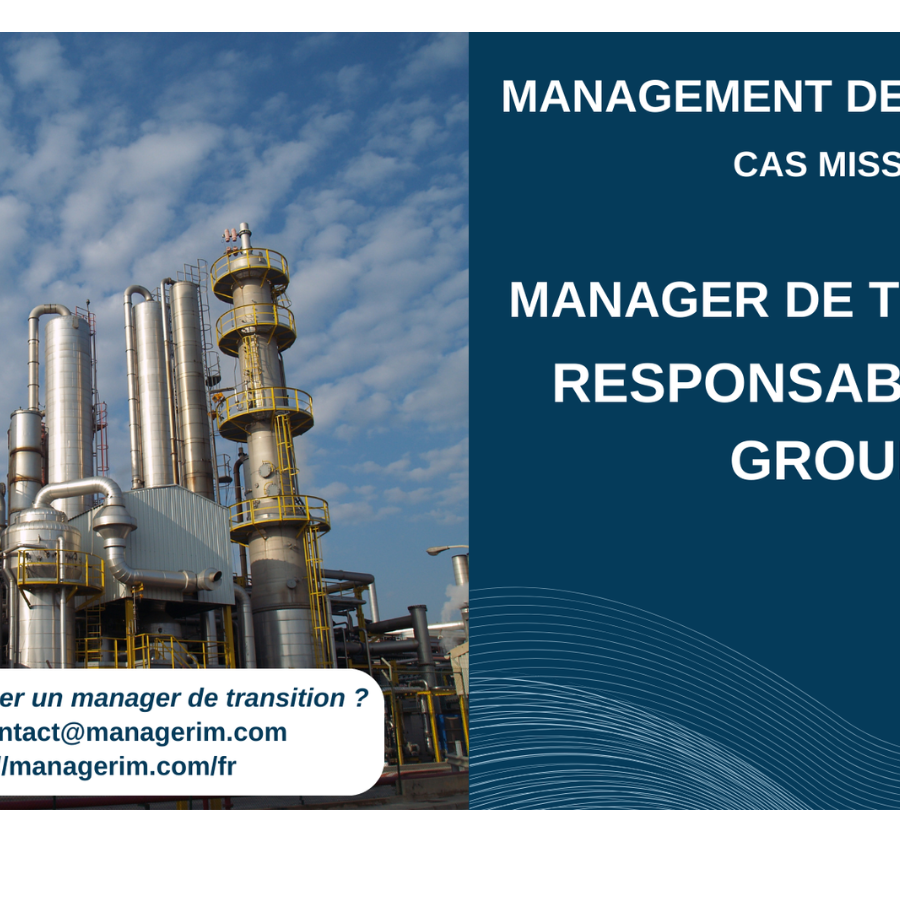 Manager de Transition Responsable QHSE Industrie Chimie MANAGERIM