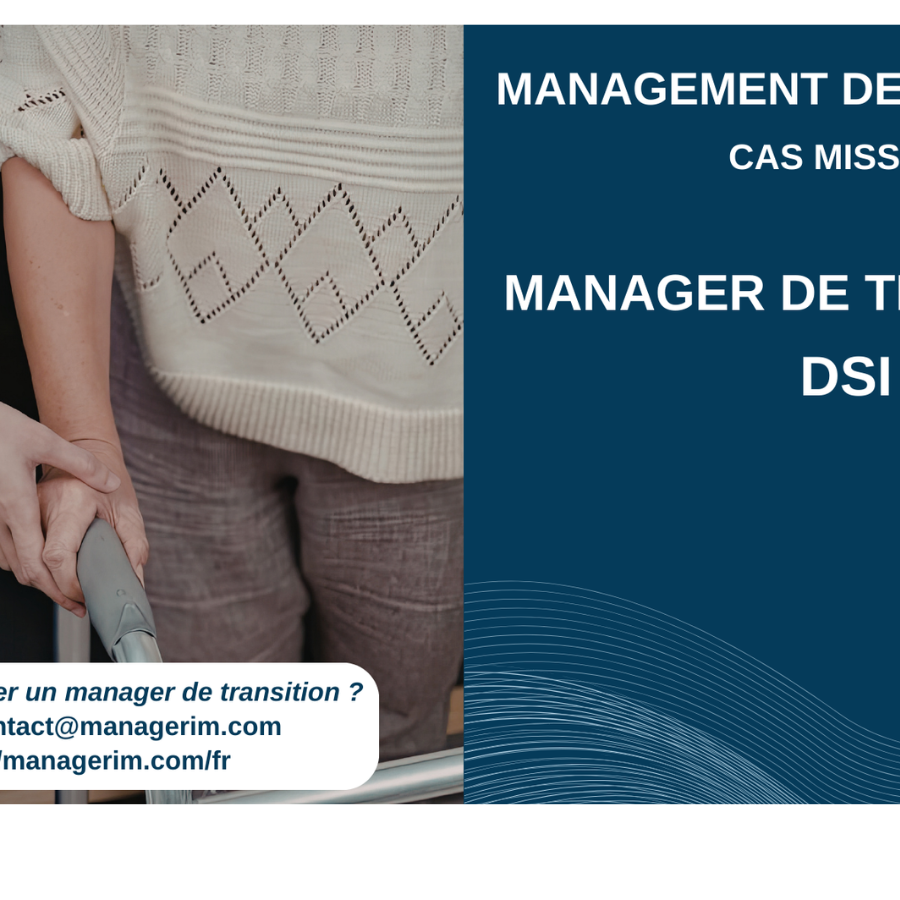 Management de Transition Directeur des Systèmes d’Information Services à la personne Médico Social MANAGERIM
