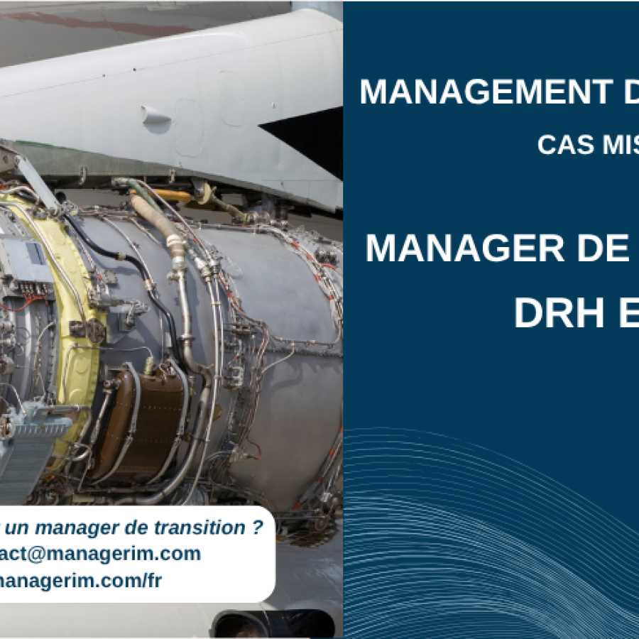 Management de Transition Directeur des Ressources Humaines EMEA Industrie Aéronautique MANAGERIM