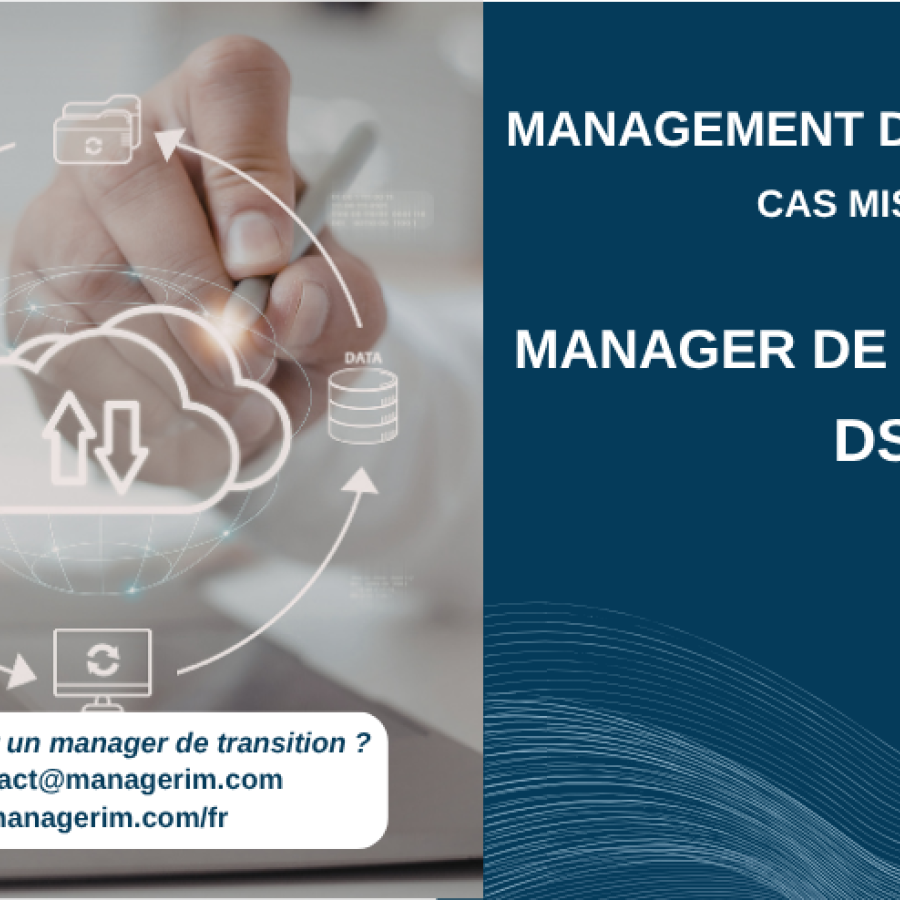 Management de Transition DSI Services Numériques MANAGERIM
