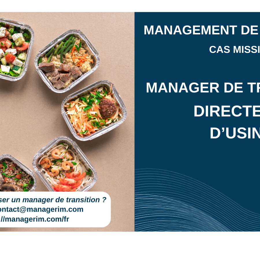 Manager de Transition Directeur d'Usine MANAGERIM