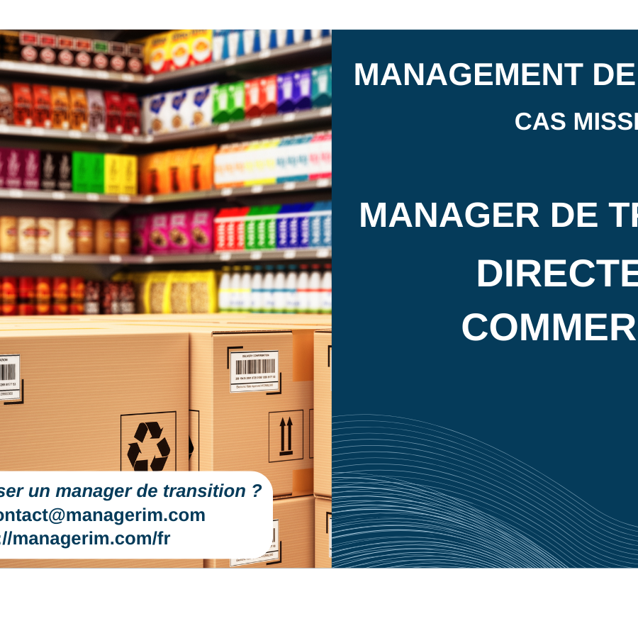 Manager de Transition Directeur Commercial MANAGERIM