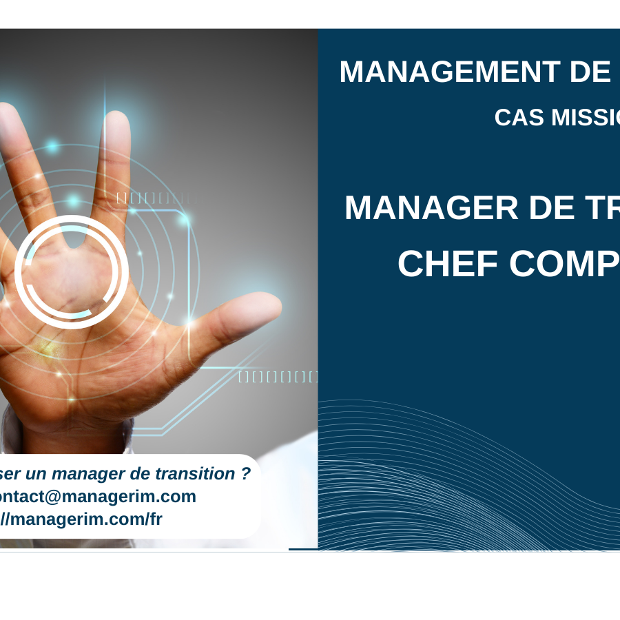 Manager de Transition Chef Comptable Nouvelles Technologies MANAGERIM