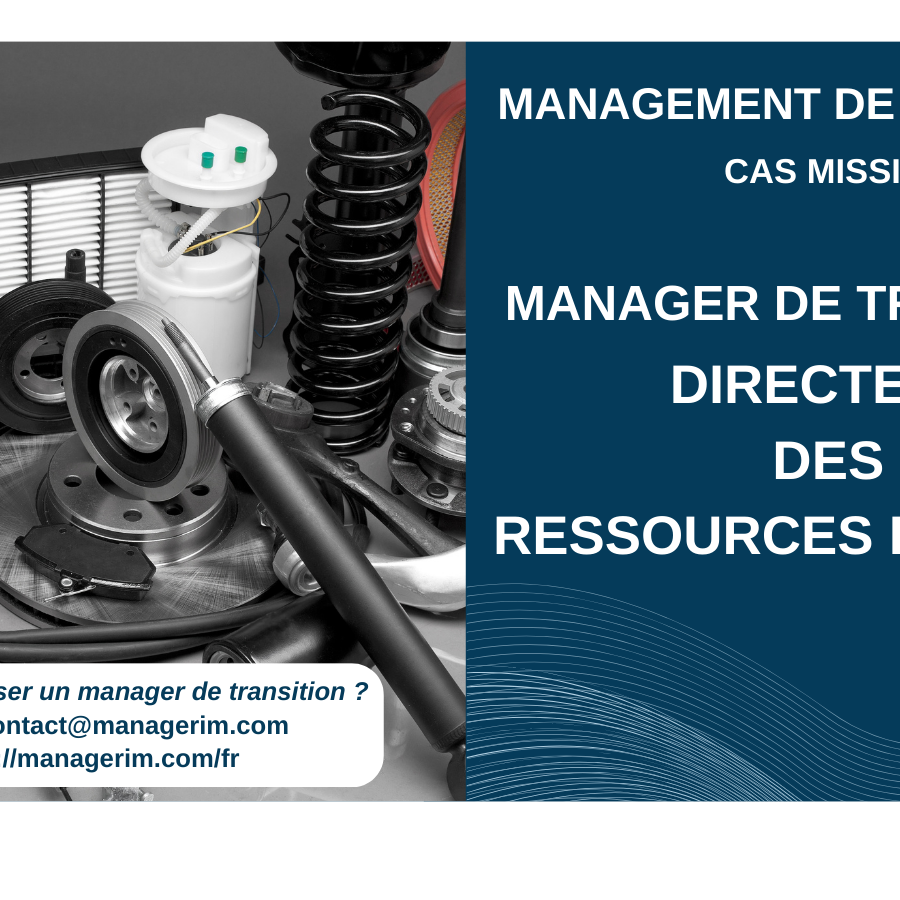 Manager de Transition Directeur des Ressources Humaines DRH Automobile MANAGERIM