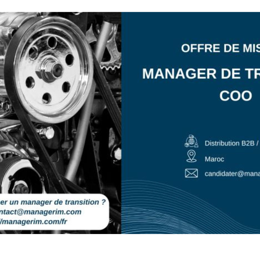 Manager de Transition COO Distribution E-commerce MANAGERIM