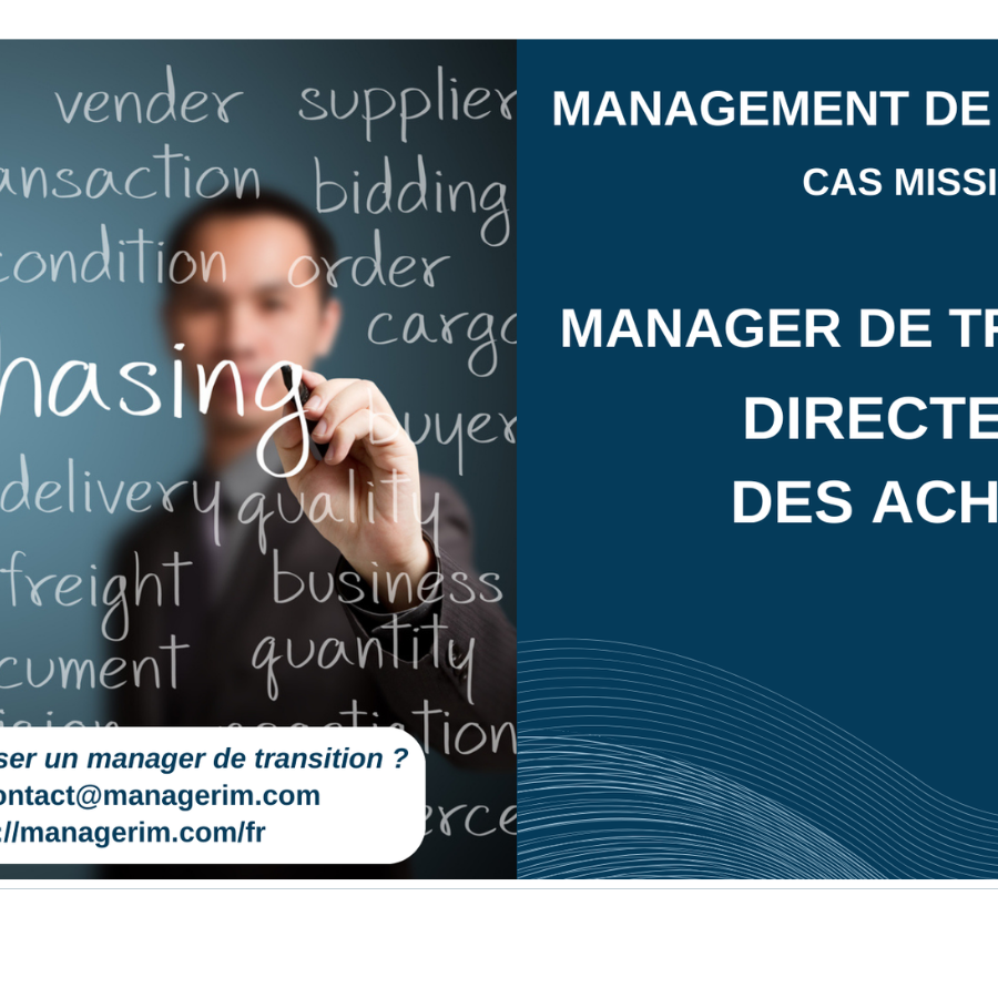 Manager de Transition Directeur des Achats MANAGERIM