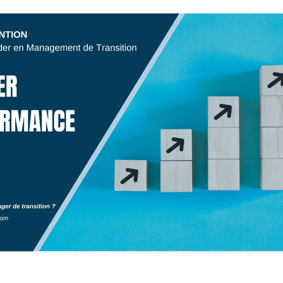 Améliorer la performance avec le Management de Trasition MANAGERIM