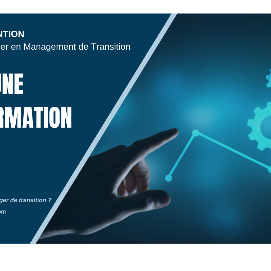 Piloter une transformation avec le Management de Transition MANAGERIM