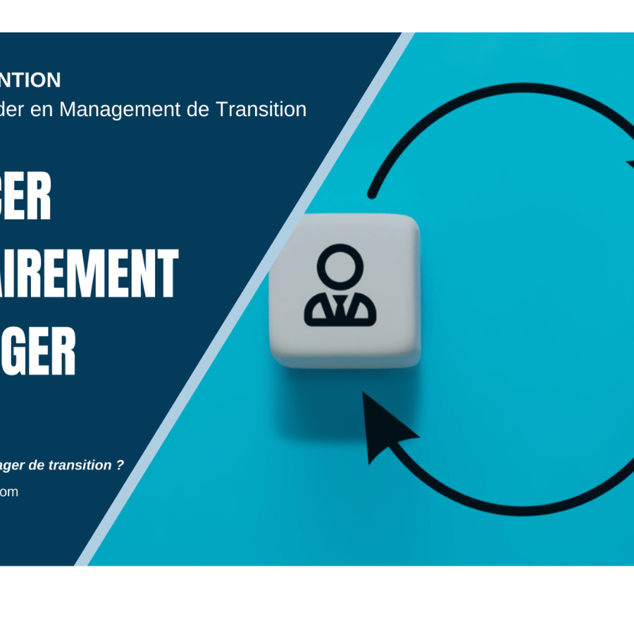 Remplacer un Manager avec le Management du Transition MANAGERIM