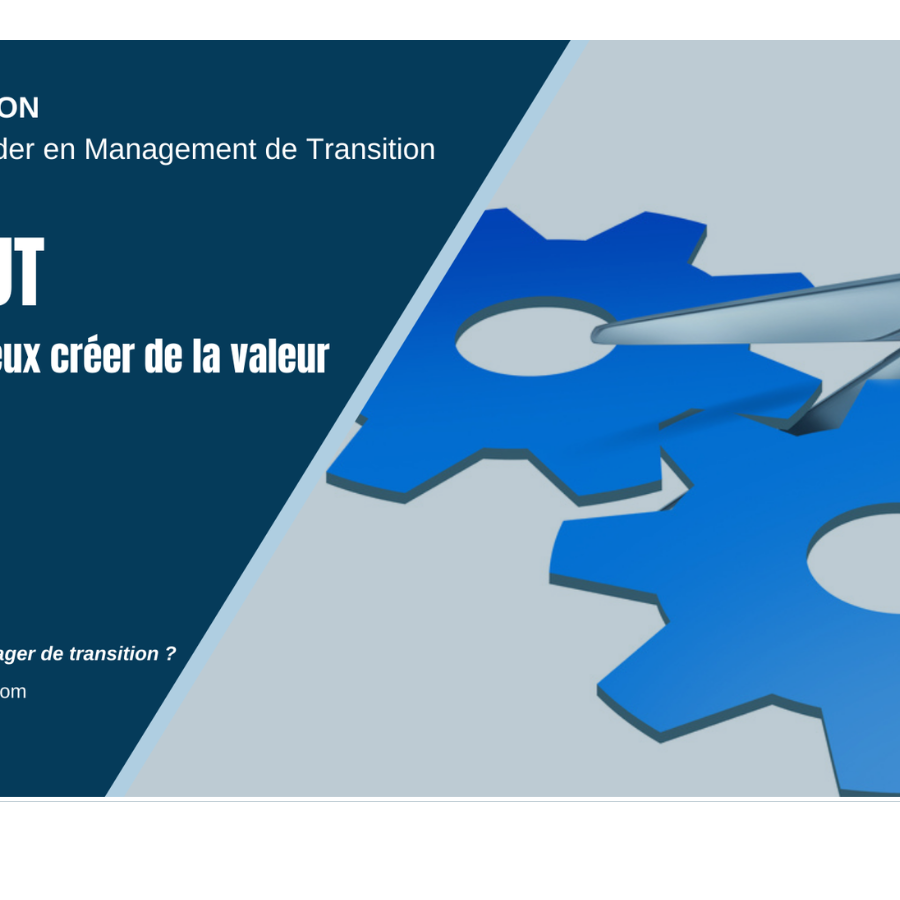 Carve Out et Management de Transition MANAGERIM