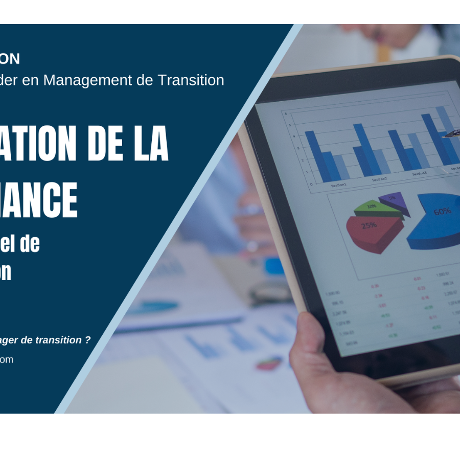 Amélioration de la performance grâce au Management de Transition MANAGERIM