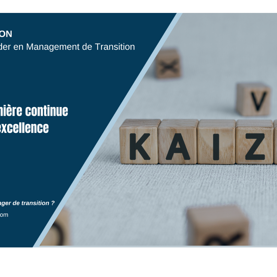 Démarche Kaizen et Management de Transition MANAGERIM