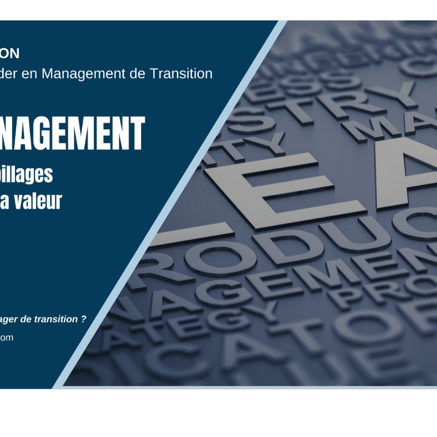 Lean Management et Management de Transition MANAGERIM