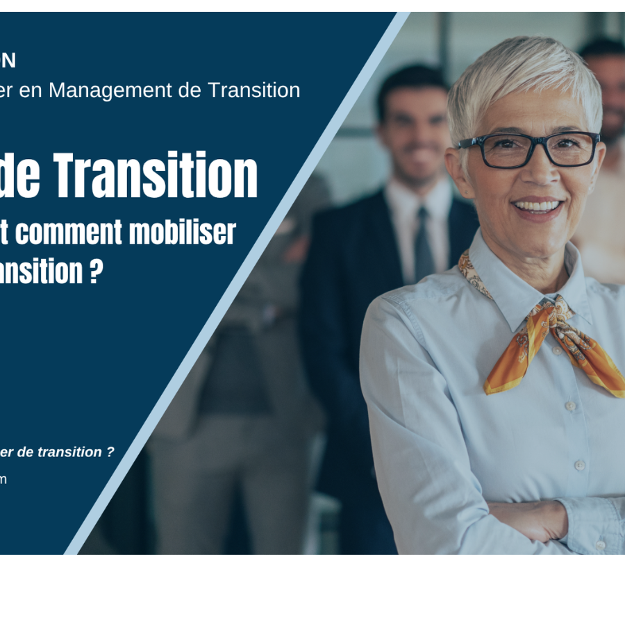 Management de Transition MANAGERIM