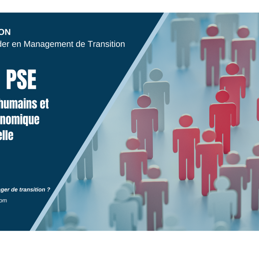 Gérer un PSE grâce au Management de Transition MANAGERIM