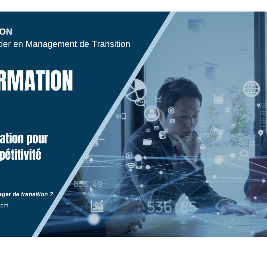 Transformation Digitale et Management de Transition MANAGERIM