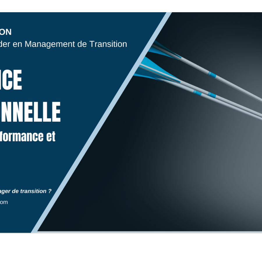 L'excellence opérationnelle dans le Management de Transition MANAGERIM