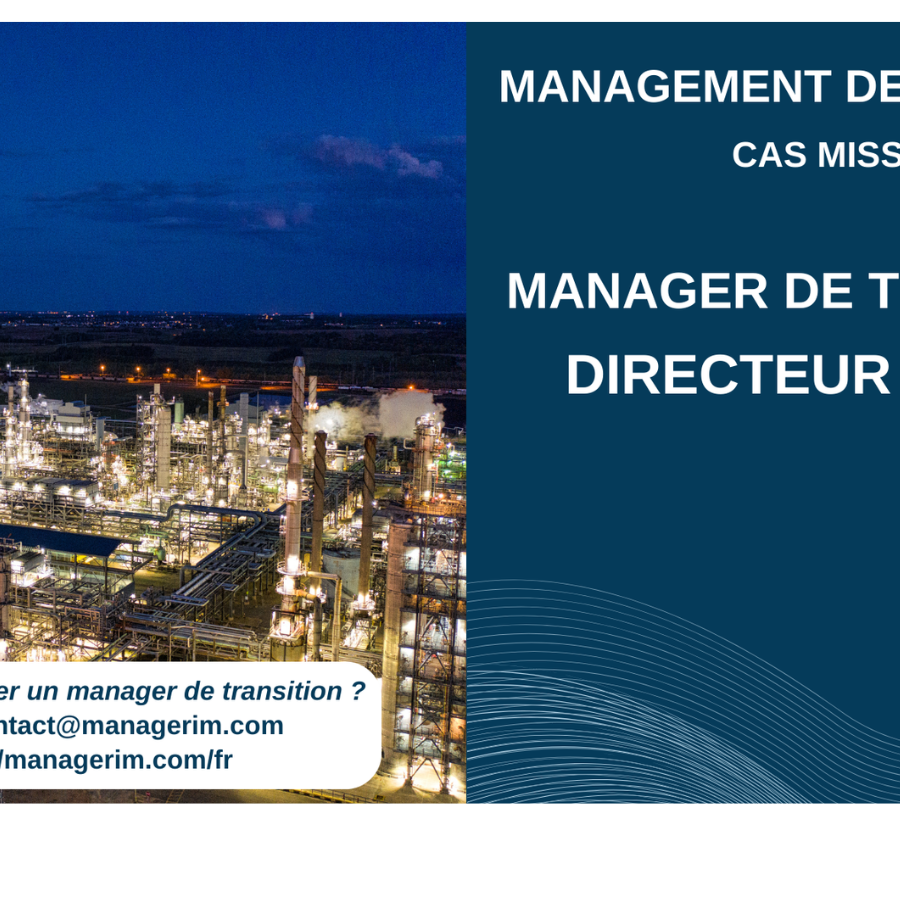 Manager de Transition Directeur d'Usine Industrie Chimie MANAGERIM