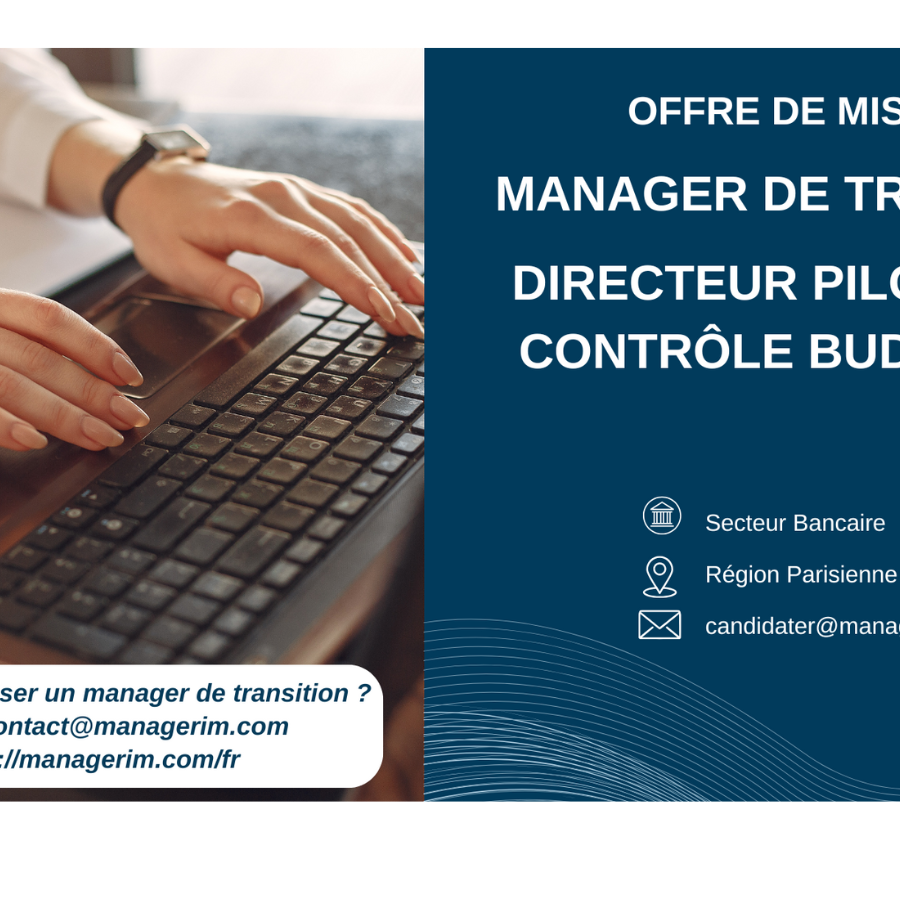 Manager de Transition Directeur Pilotage et Contrôle Budgétaire MANAGERIM