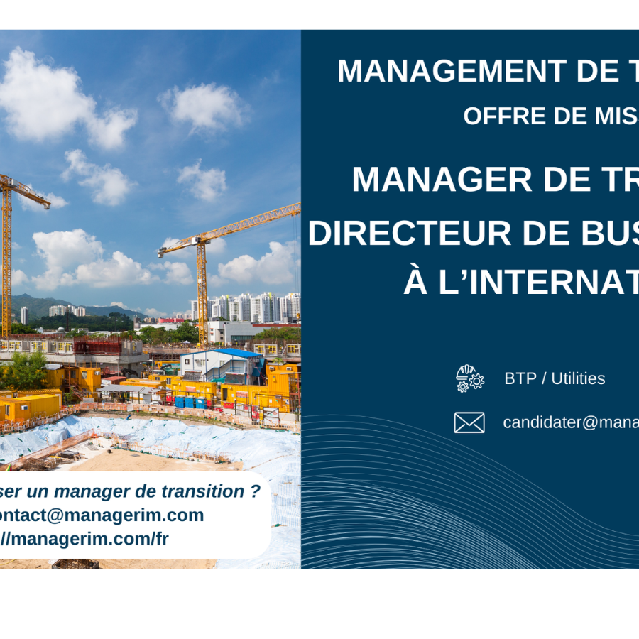 Manager de transition directeur business unit MANAGERIM