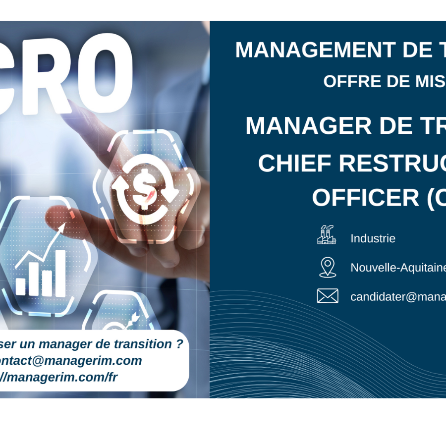 Manager de Transition Chief Restructuring Officer CRO MANAGERIM