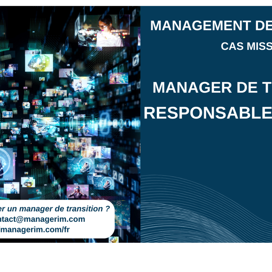 Management de Transition Responsable Juridique Services Numériques MANAGERIM