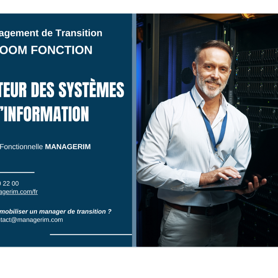 Fonction Manager de Transition DSI MANAGERIM