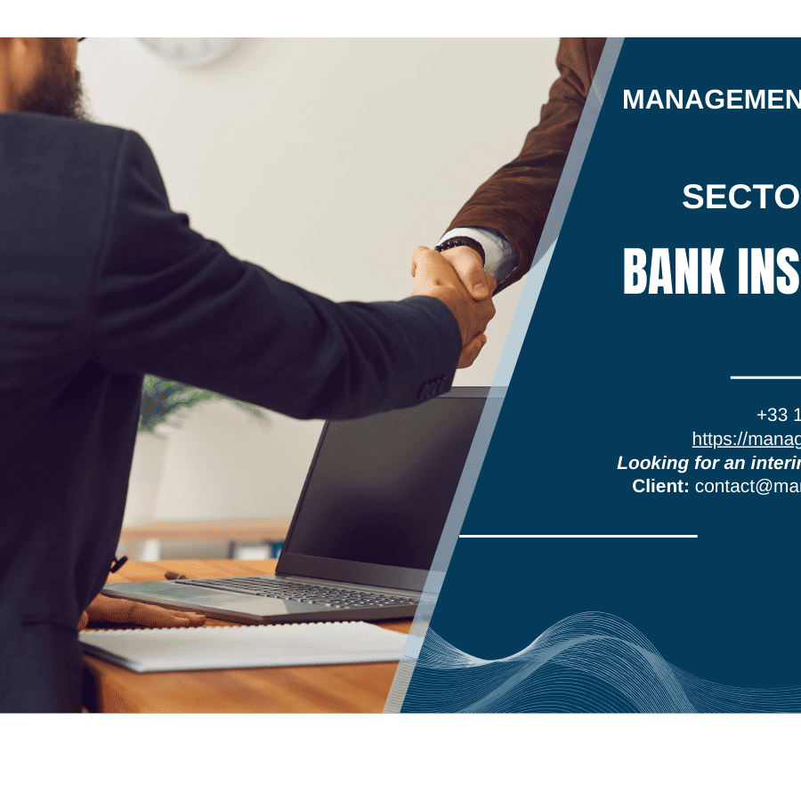 Interim Management in the sector of bank insurance MANAGERIM