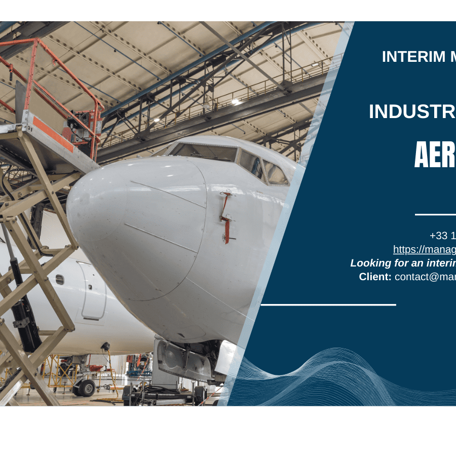 Interim Management in the Aerospace Industry MANAGERIM