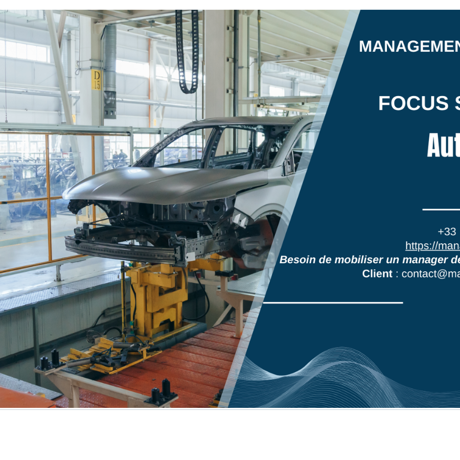 Manager de Transition Industrie Automobile MANAGERIM