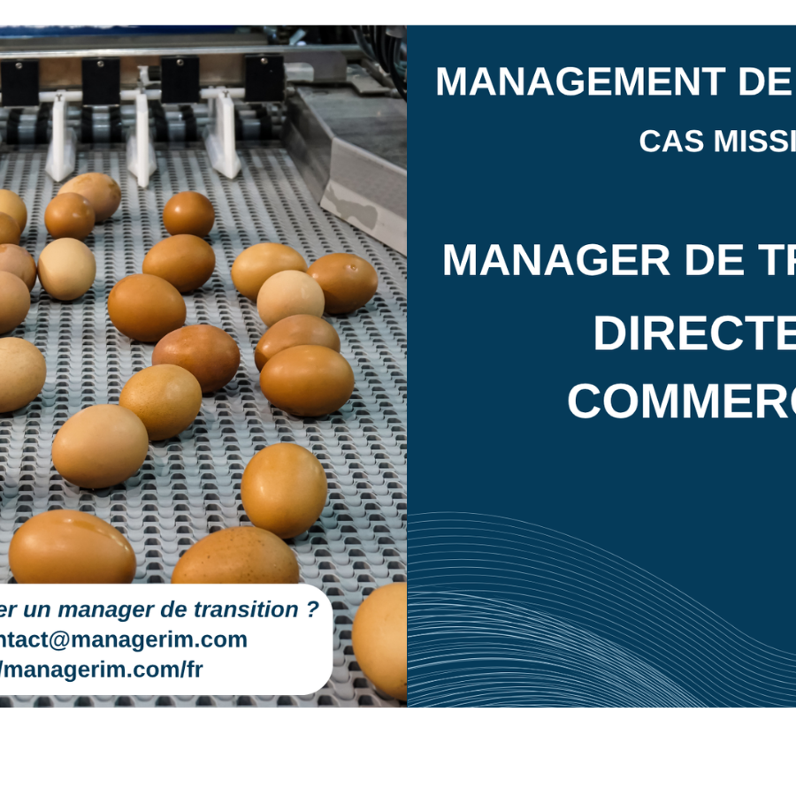 Management de Transition Directeur Commercial Agroalimentaire MANAGERIM