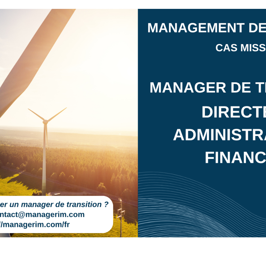 Management de Transition DAF Secteur Energie MANAGERIM