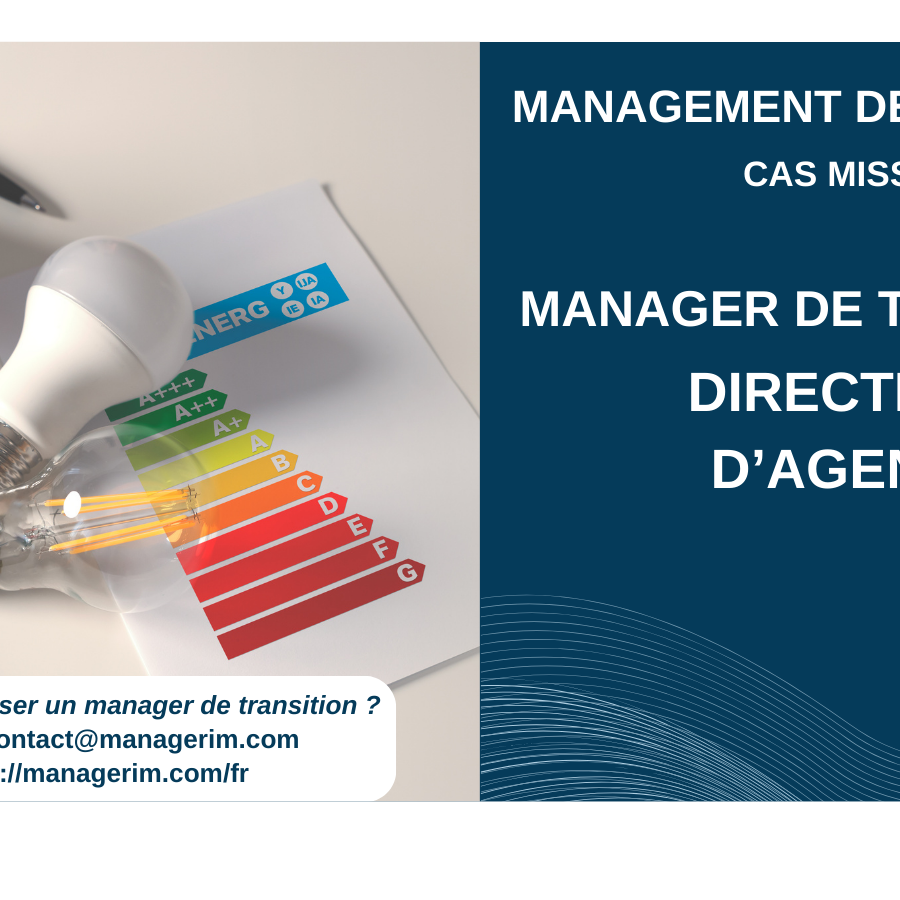 Manager de Transition Directeur d'Agence MANAGERIM