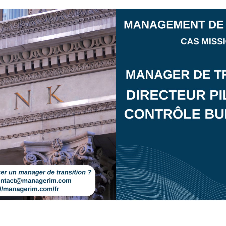Management de Transition Directeur Pilotage et Contrôle Budgétaire Banques MANAGERIM