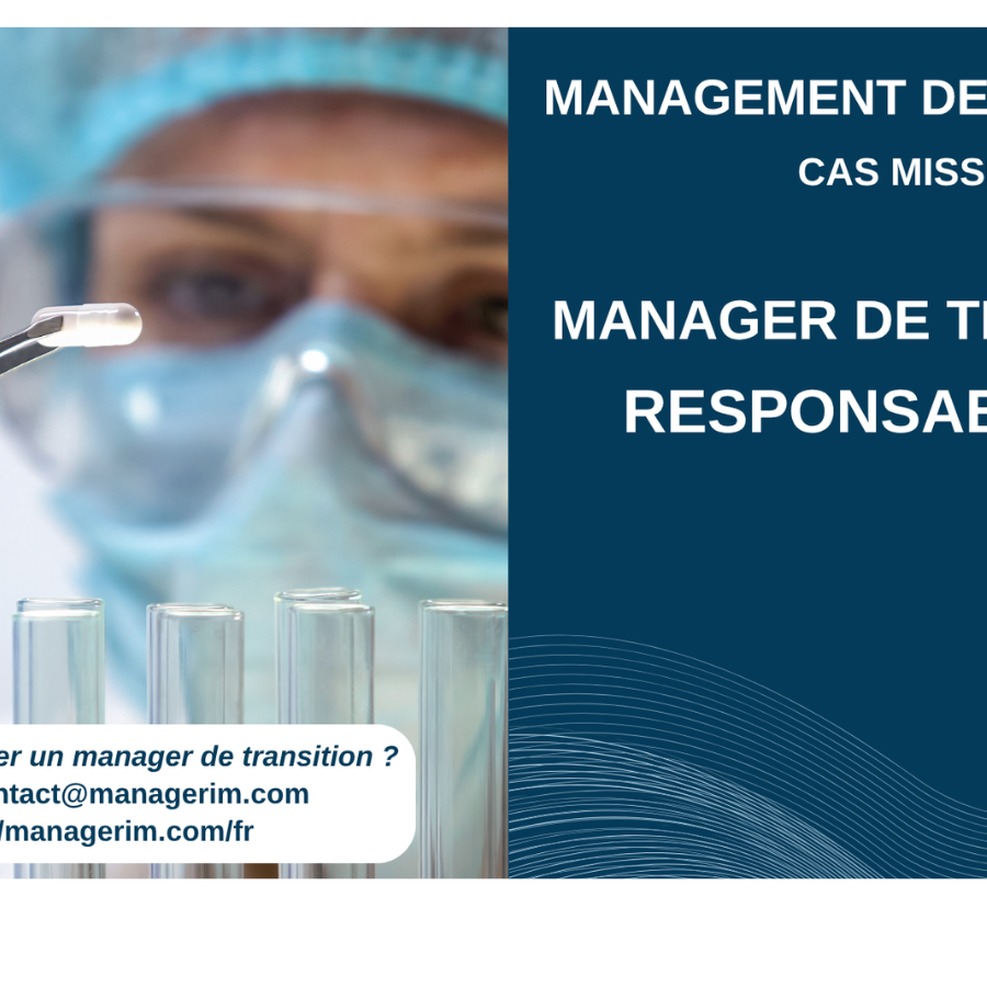 Management de Transition Repsonsable HSE Industrie Chimie chimique MANAGERIM