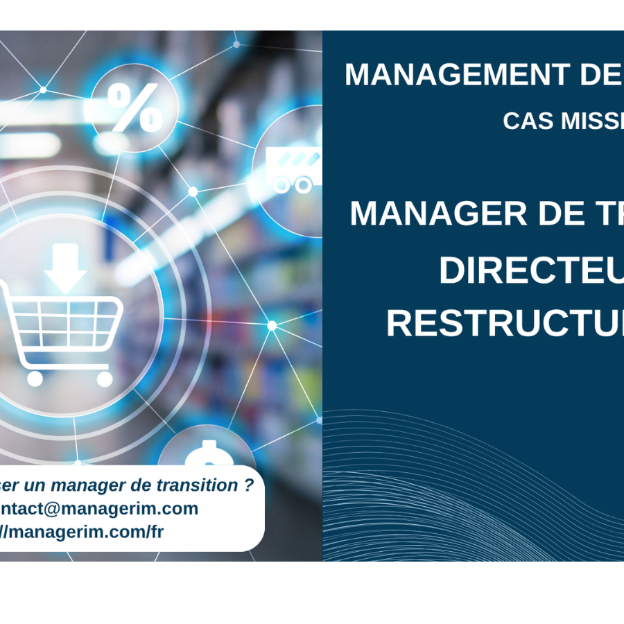 Manager de Transition Directeur Restructuration Secteur Distribution MANAGERIM  