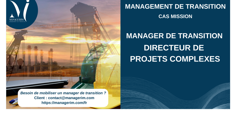 Manager de Transition Directeur de Projets Complexes MANAGERIM