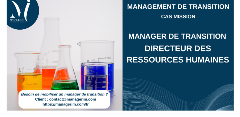 Management de Transition Directeur des Ressources Humaines Chimie MANAGERIM