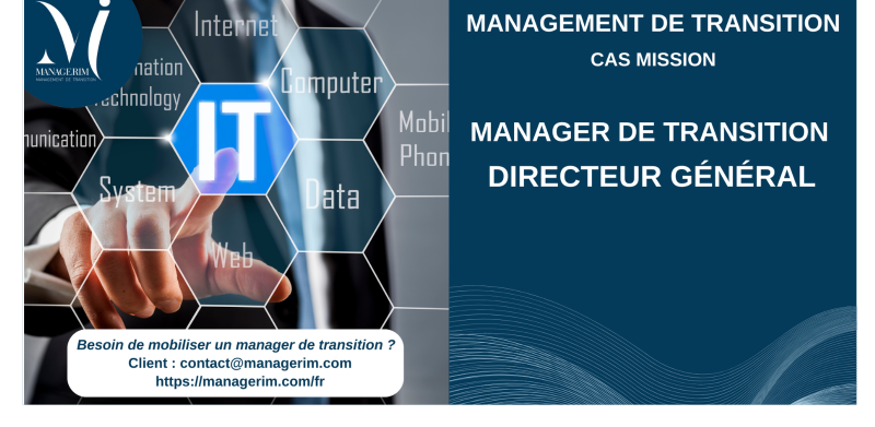 Manager de Transition Directeur Général ESN IT MANAGERIM
