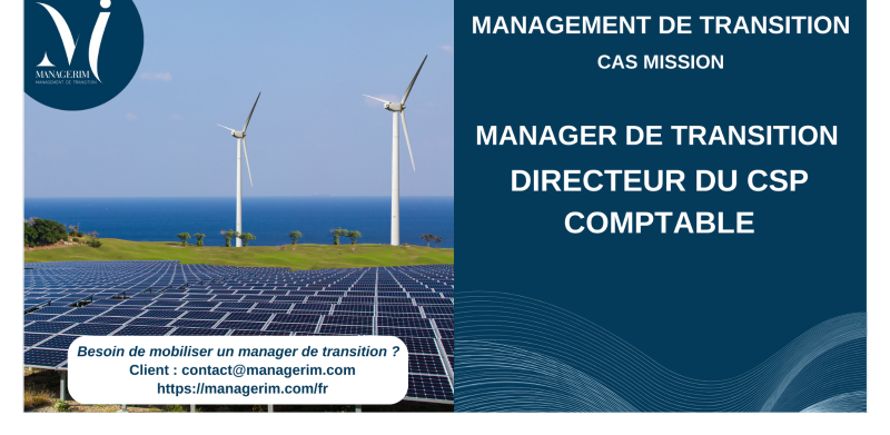 Manager de Transition Directeur du CSP Comptable Utilities MANAGERIM
