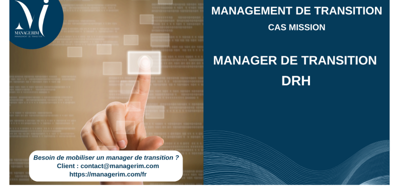 Manager de Transition DRH Services Numériques MANAGERIM