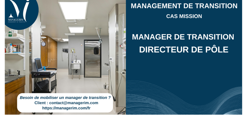 Manager de Transition Directeur de Pole Secteur Médico Social MANAGERIM