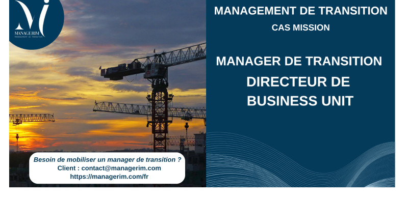 Manager de Transition Directeur de Business Unit BTP infrastructures MANAGERIM