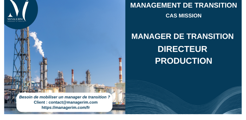 Manager de Transition Directeur Production Industrie Chimique Chimie MANAGERIM
