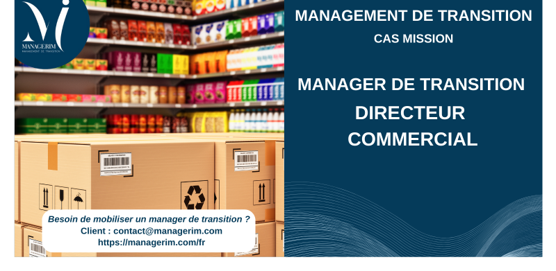 Manager de Transition Directeur Commercial MANAGERIM